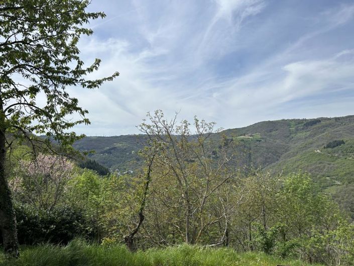 Image No.9-Propriété à vendre à Le Truel