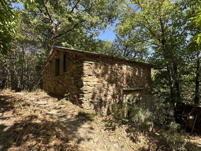 Image No.1-Propriété à vendre à Caunes-Minervois