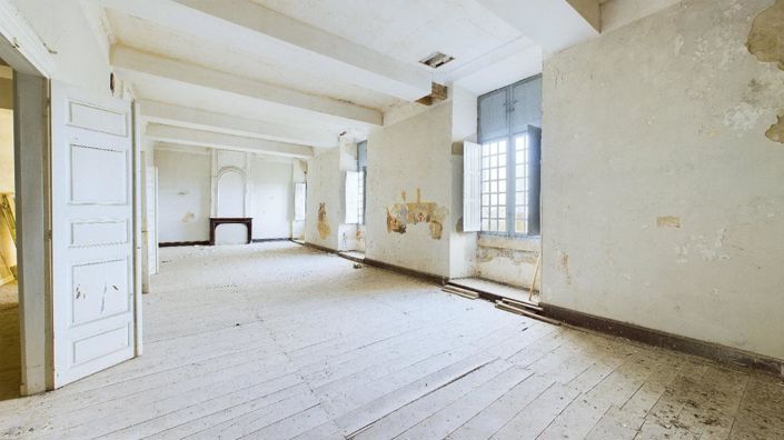 Image No.8-Chateaux for sale