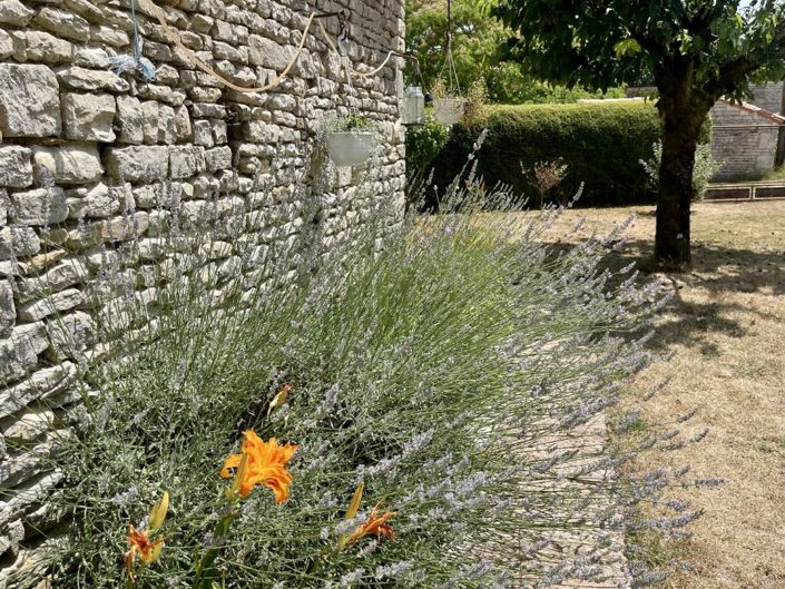 Image No.18-Propriété de 3 chambres à vendre à Loubillé