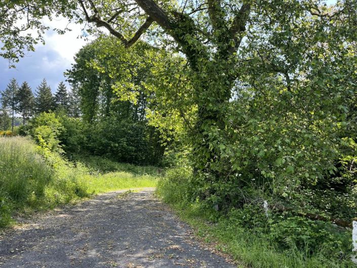 Image No.17-3 Bed Property for sale