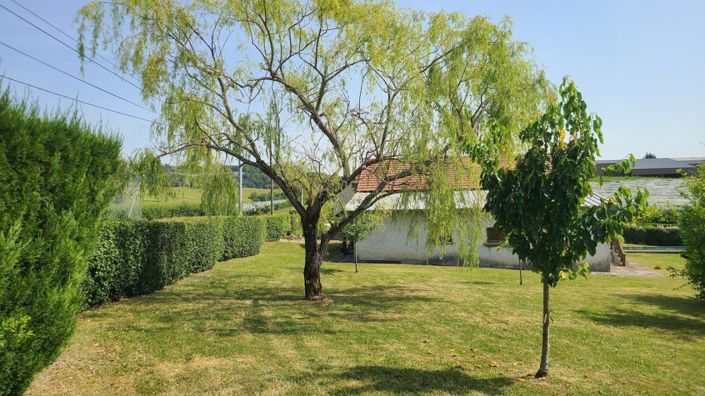 Image No.15-11 Bed Property for sale