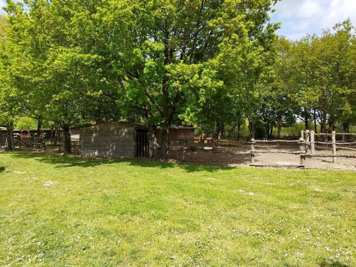 Image No.9-6 Bed Property for sale