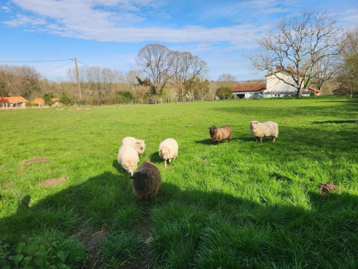 Image No.11-2 Bed House for sale