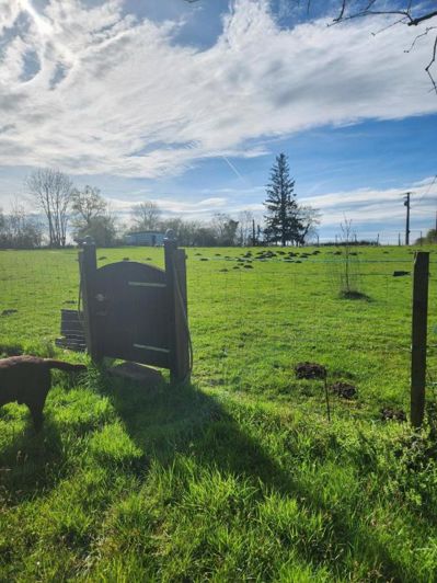 Image No.13-Maison de 2 chambres à vendre à Roumazières-Loubert