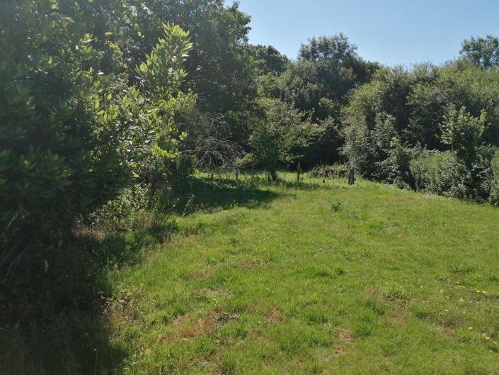 Image No.14-Propriété de 2 chambres à vendre à Chirac