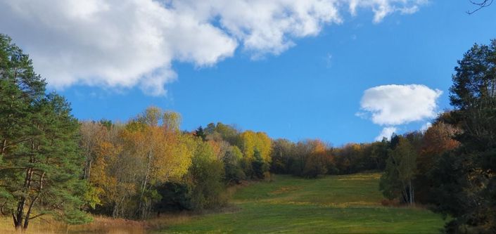 Image No.11-11 Bed Property for sale