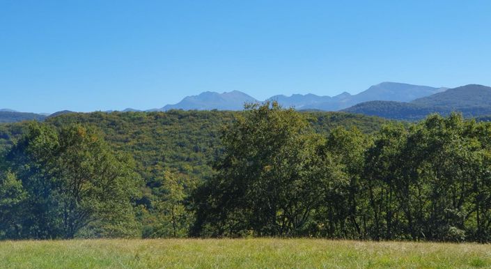 Image No.7-11 Bed Property for sale