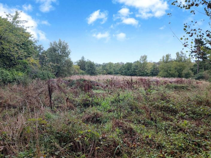 Image No.19-5 Bed Property for sale