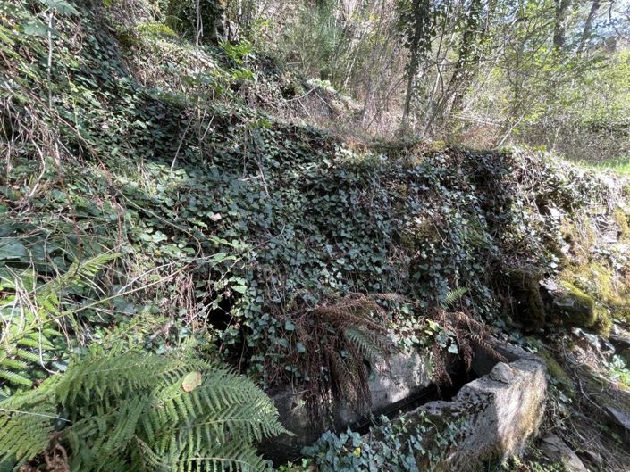 Image No.19-Propriété de 1 chambre à vendre à Lacroix-Barrez