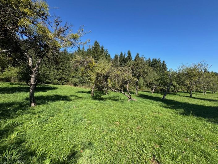 Image No.10-3 Bed Property for sale