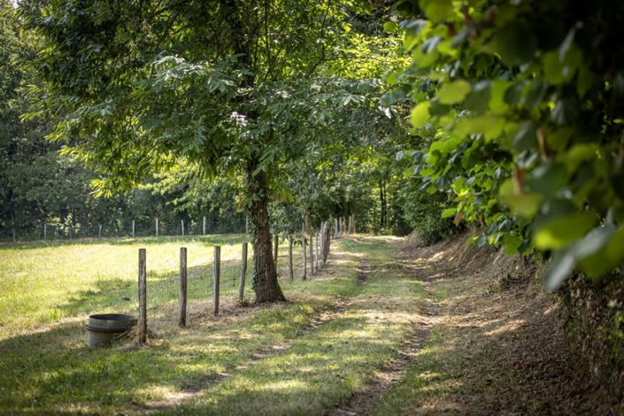 Image No.10-5 Bed House for sale