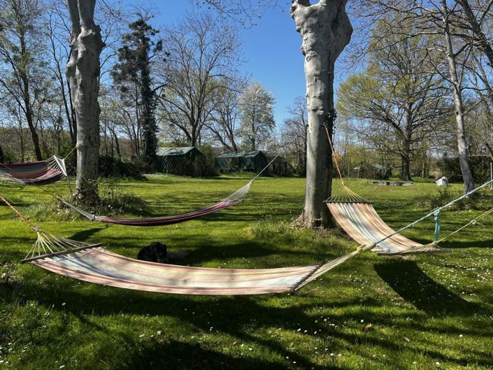 Image No.12-Propriété de 12 chambres à vendre à Carla-Bayle