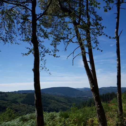 Image No.8-Propriété de 31 chambres à vendre à Égletons