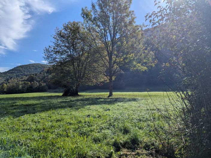 Image No.4-3 Bed Property for sale