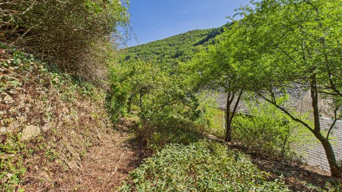 Image No.19-Maison de 3 chambres à vendre à Le Truel