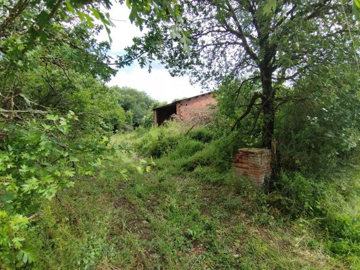 Image No.2-House for sale