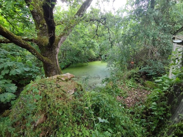 Image No.7-House for sale