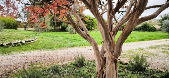 Image No.17-4 Bed Property for sale