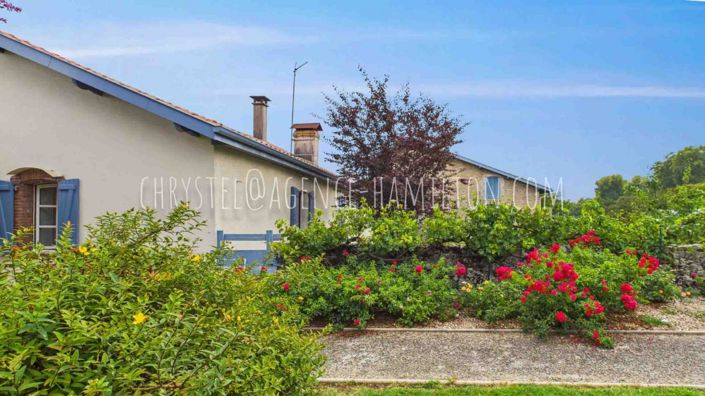 Image No.3-8 Bed House for sale