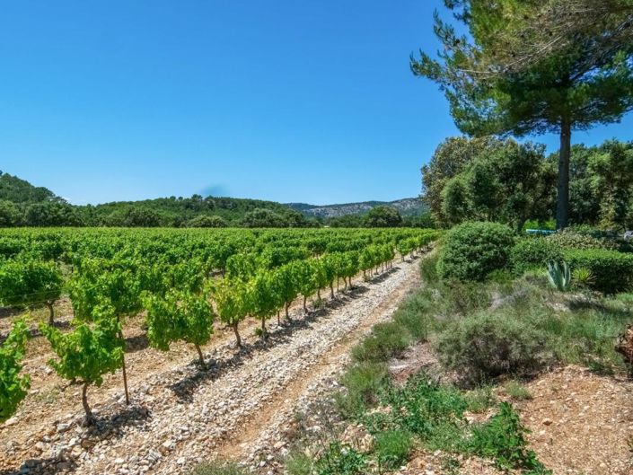 Image No.17-Propriété de 4 chambres à vendre à Bédoin