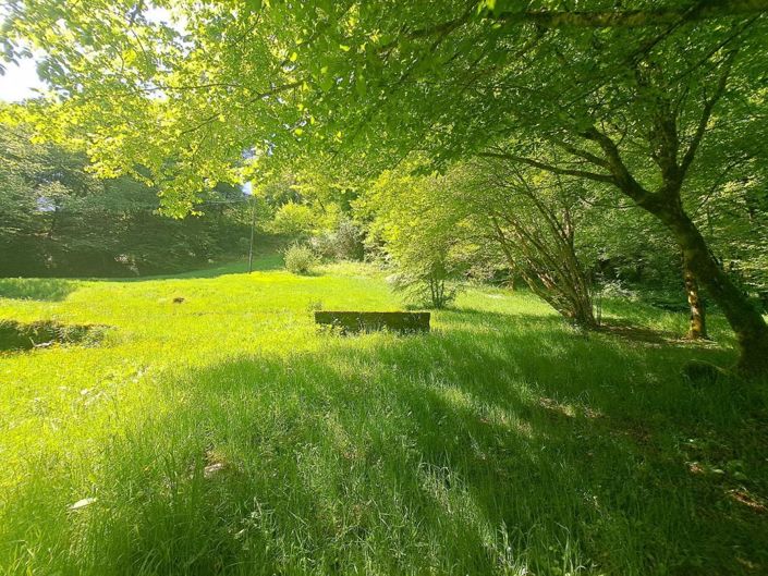 Image No.20-Propriété de 5 chambres à vendre à La Roche-Canillac