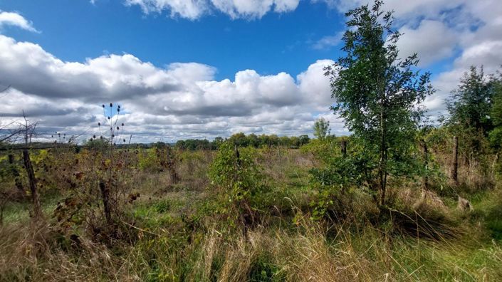 Image No.8-4 Bed Property for sale