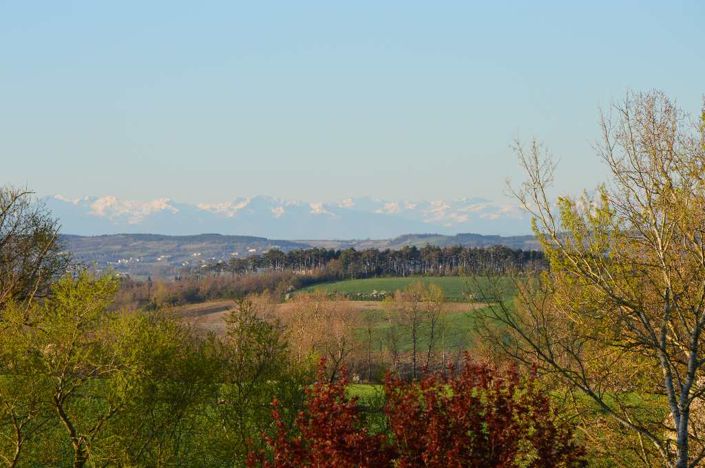 Image No.13-12 Bed Property for sale