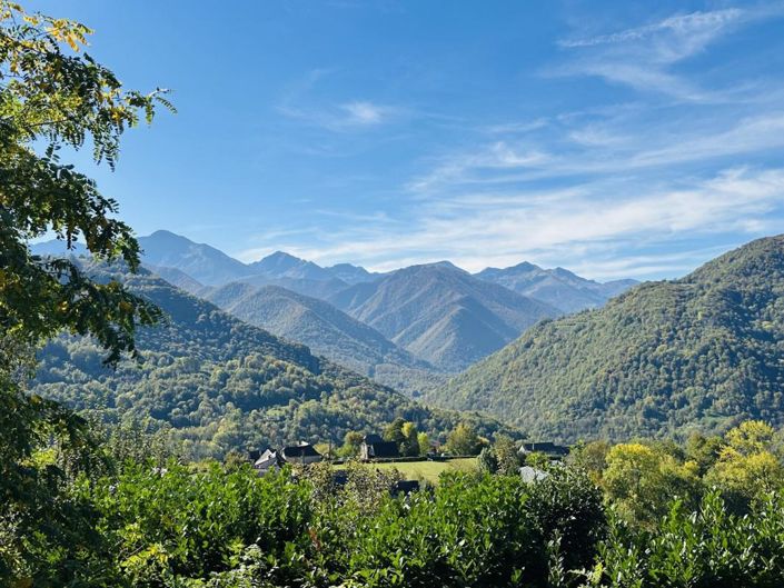 Image No.14-Maison de 1 chambre à vendre à Arrien-en-Bethmale