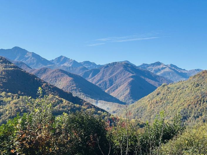 Image No.20-Maison de 1 chambre à vendre à Arrien-en-Bethmale