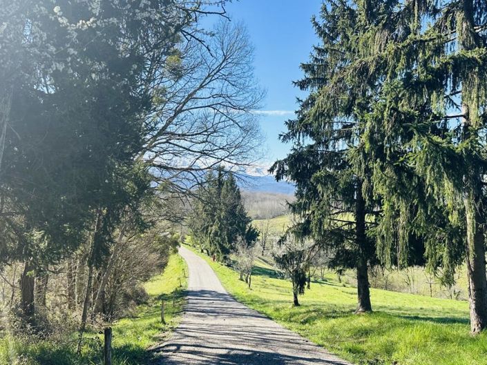 Image No.5-Propriété de 4 chambres à vendre à Taurignan-Vieux