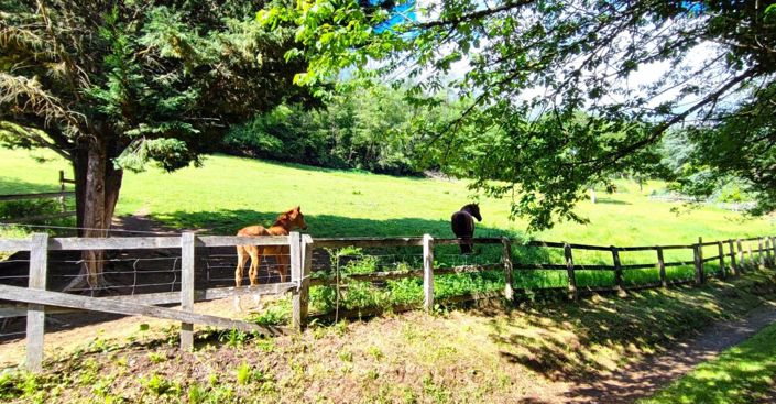 Image No.20-4 Bed Property for sale