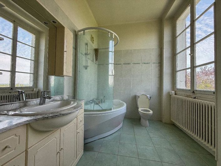 Image No.18-Châteaux de 8 chambres à vendre à Castelsarrasin