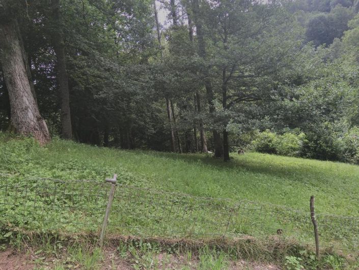 Image No.16-2 Bed Property for sale