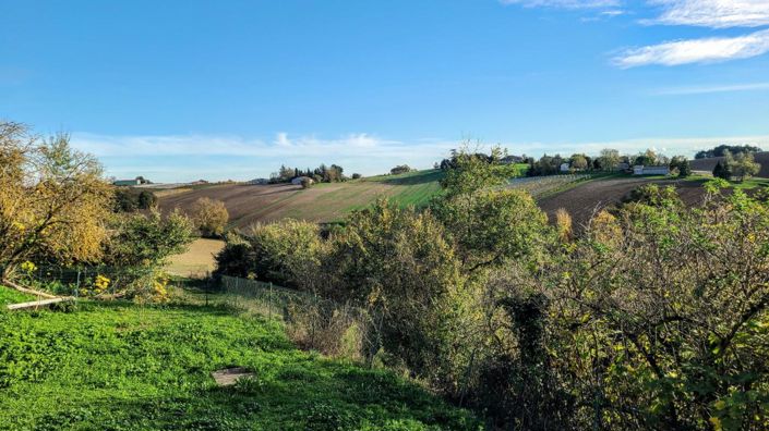 Image No.1-Propriété de 11 chambres à vendre à Tarn-et-Garonne