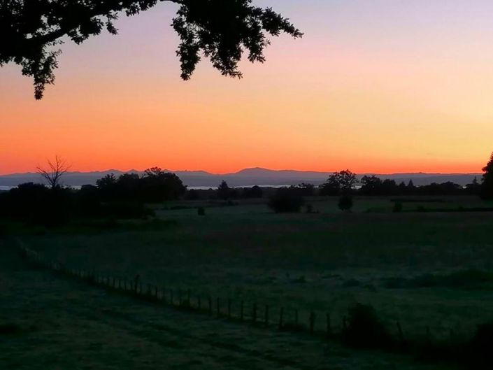 Image No.16-Propriété de 1 chambre à vendre à Vaureilles