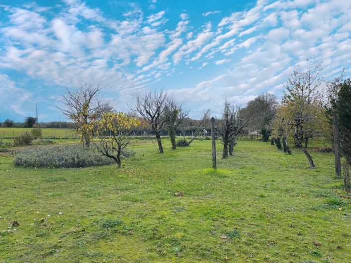 Image No.4-5 Bed House for sale