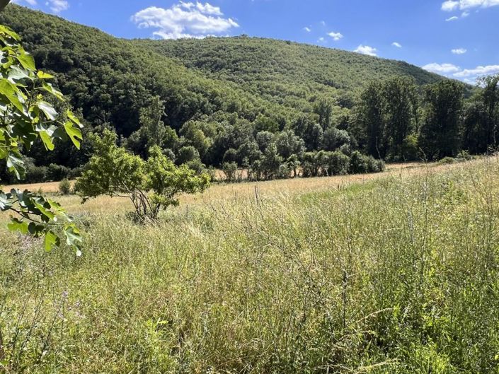 Image No.4-5 Bed Property for sale