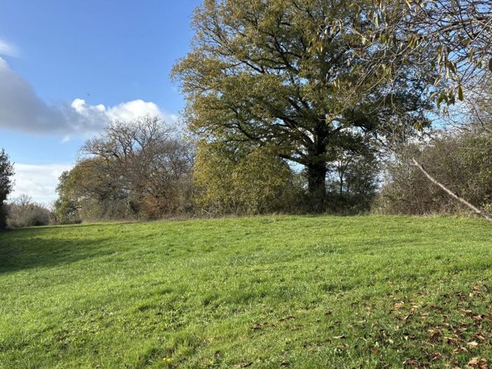 Image No.16-2 Bed Property for sale