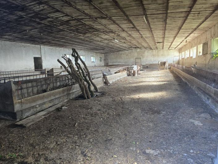 Image No.7-6 Bed Property for sale