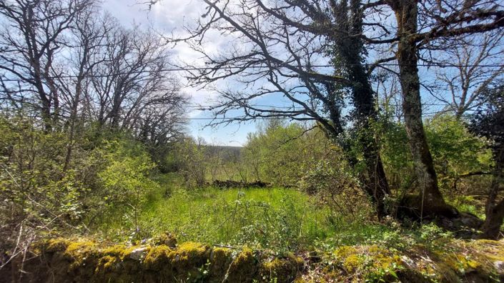 Image No.9-6 Bed House for sale