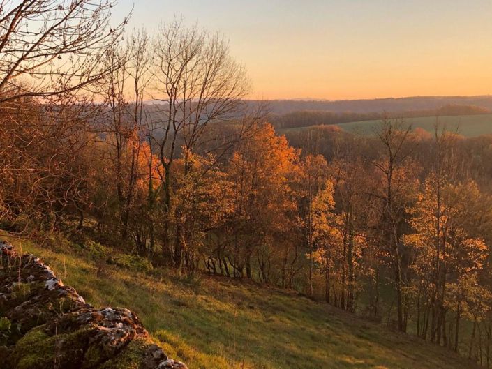 Image No.19-3 Bed House for sale