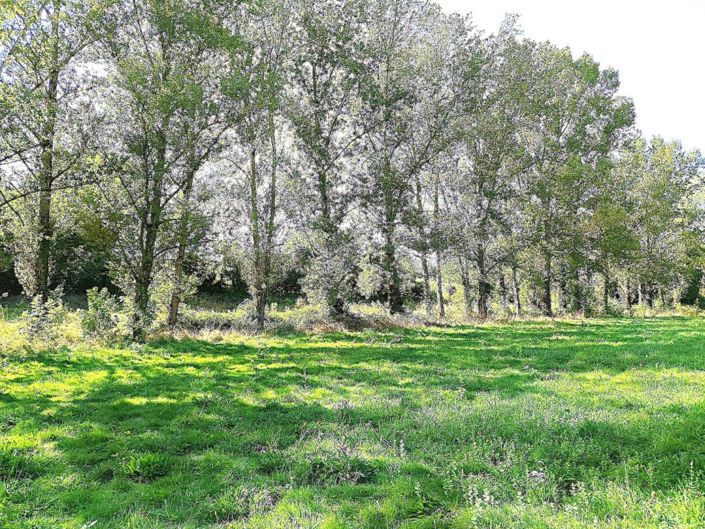 Image No.15-6 Bed Property for sale