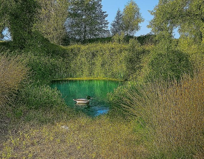 Image No.16-6 Bed Property for sale