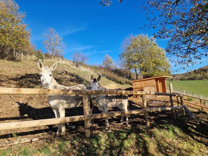 Image No.19-4 Bed Property for sale