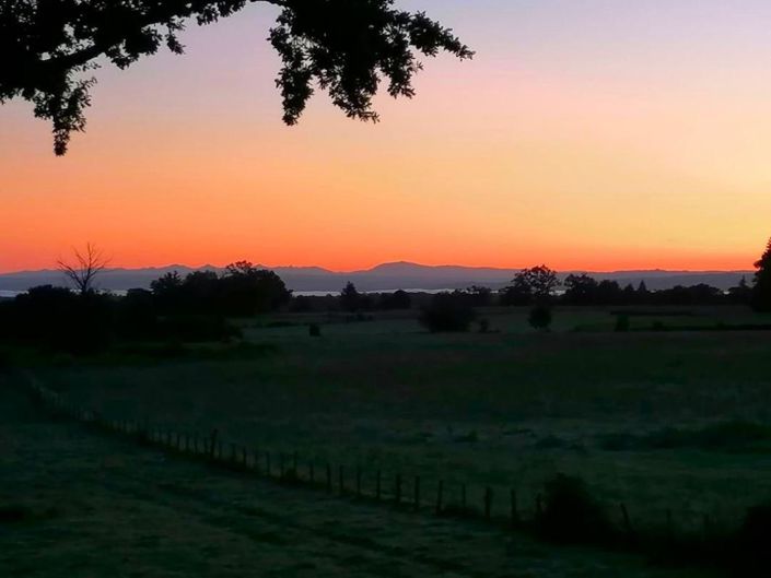 Image No.16-1 Bed Property for sale