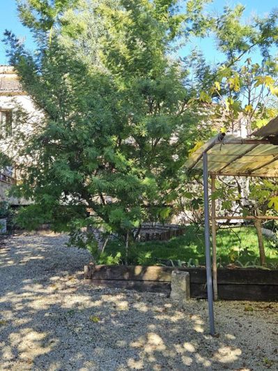 Image No.19-Maison de 3 chambres à vendre à Castet-Arrouy