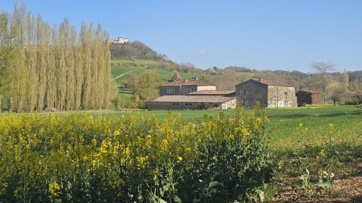 Image No.14-8 Bed Property for sale