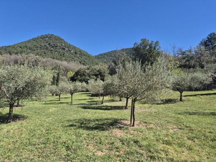 Image No.16-4 Bed Property for sale