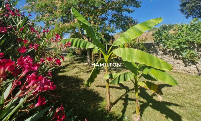 Image No.7-Propriété de 2 chambres à vendre à Tonnac